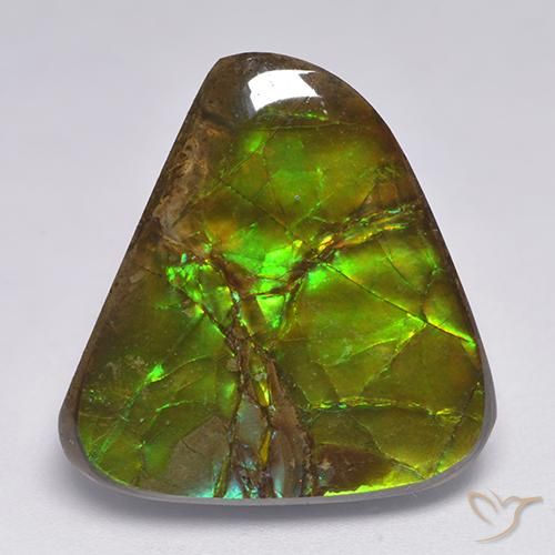 amolita Multicolor natural de 17.90 ct, Elegante, Opaco