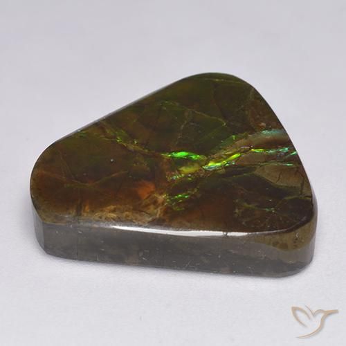 amolita Multicolor natural de 17.90 ct, Elegante, Opaco