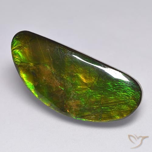 18.57ct Natural Multicolor amolita, Elegante, Opaco