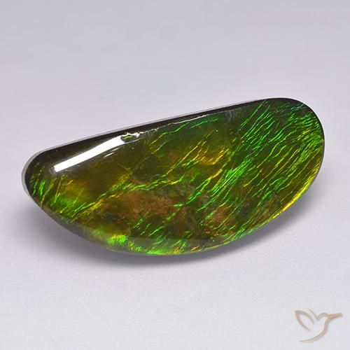 amolita Multicolor natural de 18.57 ct, Elegante, Opaco
