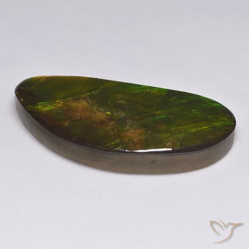 amolita Multicolor natural de 18.57 ct, Elegante, Opaco