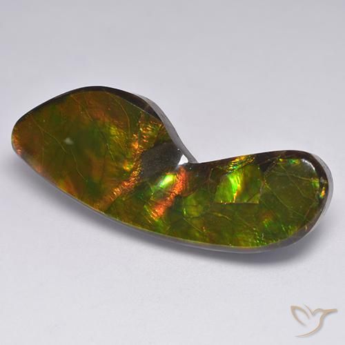 24.54ct Natural Multicolor amolita, Elegante, Opaco