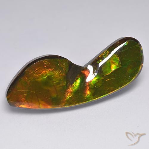 amolita Multicolor natural de 24.54 ct, Elegante, Opaco