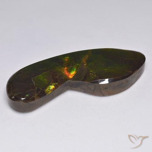amolita Multicolor natural de 24.54 ct, Elegante, Opaco