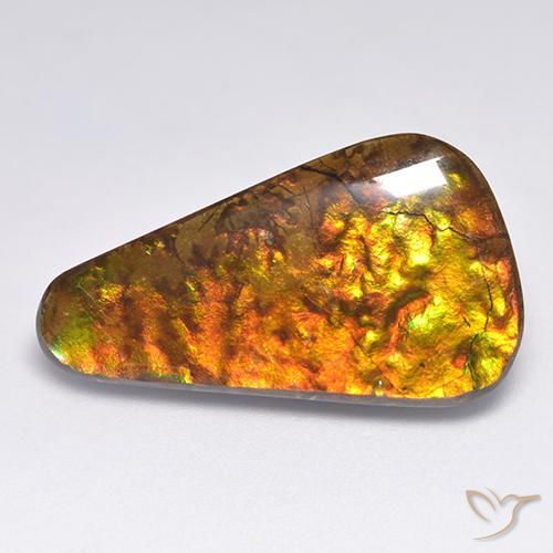 amolita Multicolor natural de 18.34 ct, Elegante, Opaco
