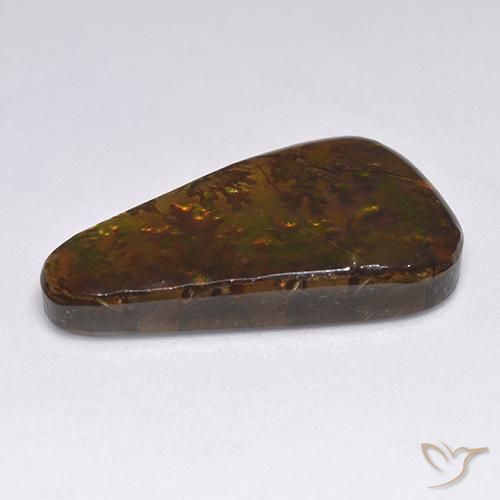 amolita Multicolor natural de 18.34 ct, Elegante, Opaco