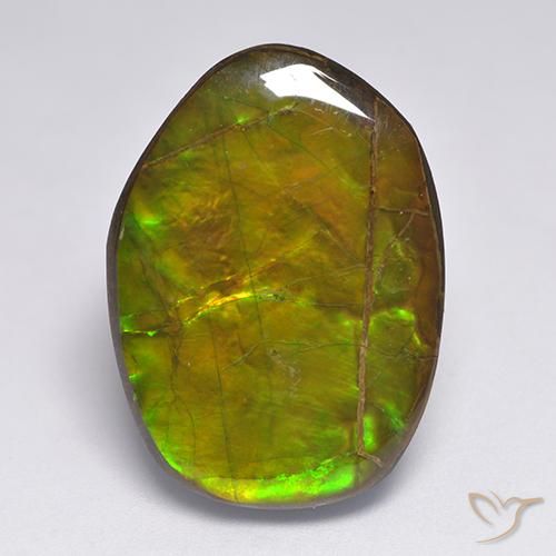 20.63ct Natural Multicolor amolita, Elegante, Opaco