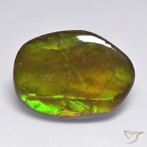amolita Multicolor natural de 20.63 ct, Elegante, Opaco