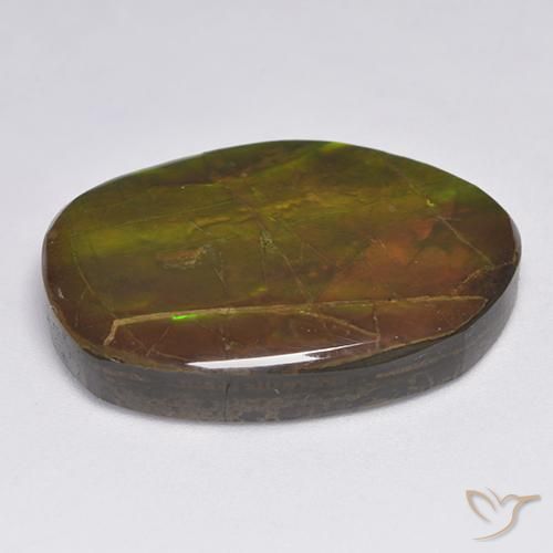 amolita Multicolor natural de 20.63 ct, Elegante, Opaco