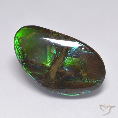 18.50ct Natural Multicolor amolita, Elegante, Opaco