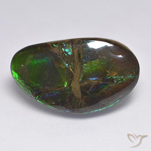 amolita Multicolor natural de 18.50 ct, Elegante, Opaco