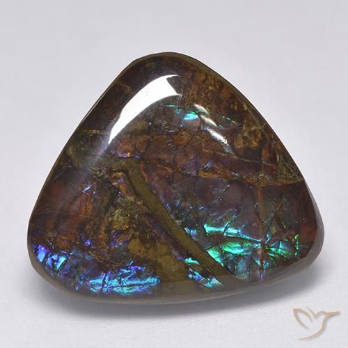 amolita Multicolor natural de 14.06 ct, Trillón, Opaco