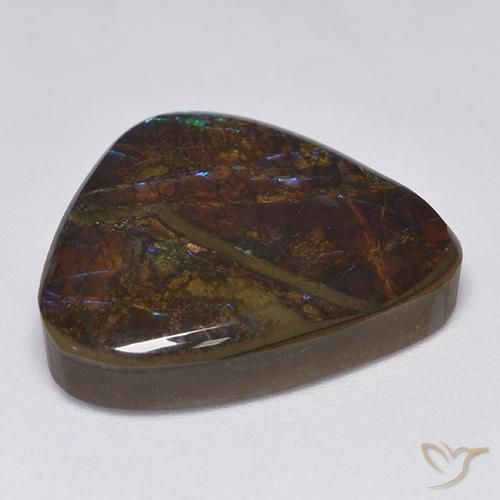 amolita Multicolor natural de 14.06 ct, Trillón, Opaco