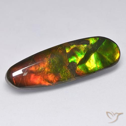 13.63ct Natural Multicolor amolita, Elegante, Opaco