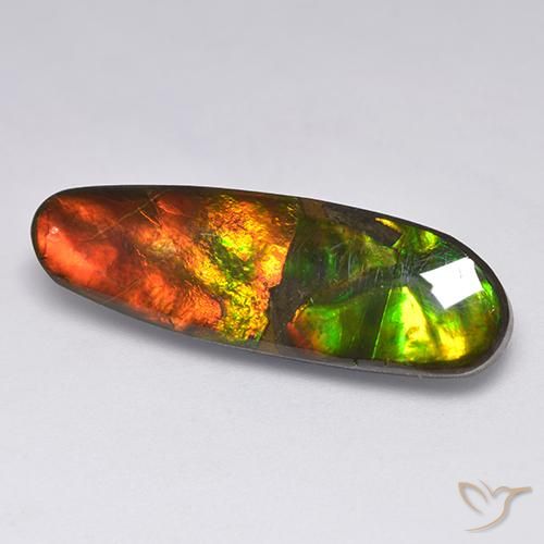 amolita Multicolor natural de 13.63 ct, Elegante, Opaco