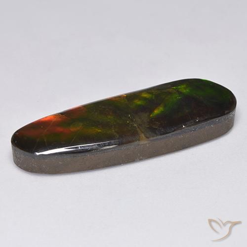 amolita Multicolor natural de 13.63 ct, Elegante, Opaco