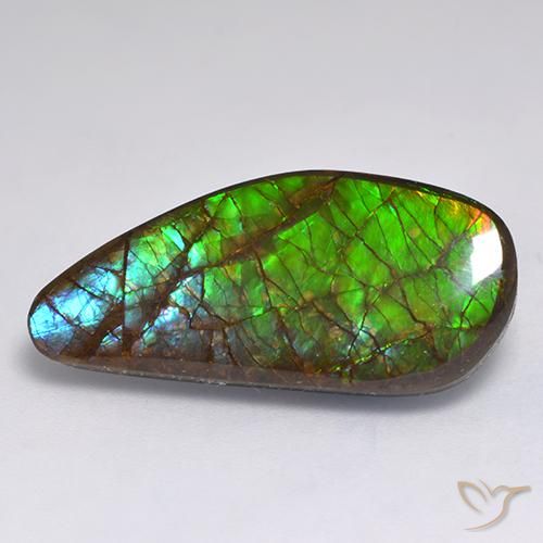 amolita Multicolor natural de 13.19 ct, Elegante, Opaco
