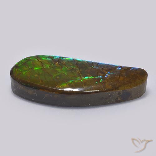 amolita Multicolor natural de 13.19 ct, Elegante, Opaco