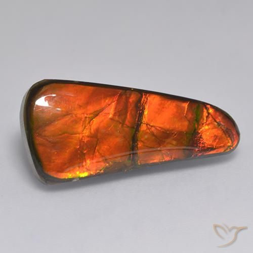 amolita Multicolor natural de 11.58 ct, Elegante, Opaco