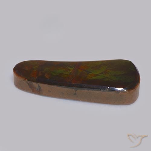 amolita Multicolor natural de 11.58 ct, Elegante, Opaco