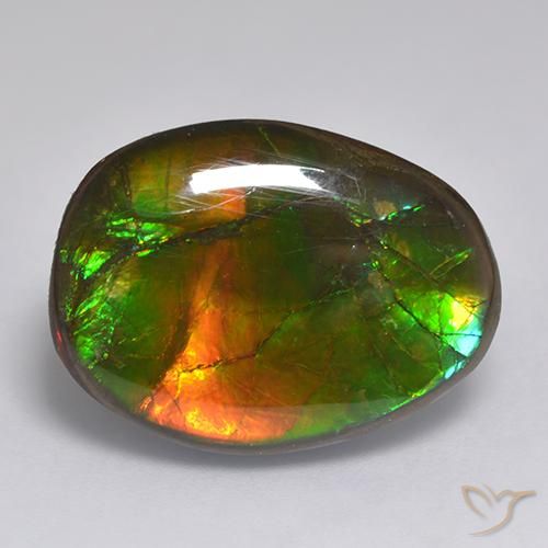 14.86ct Natural Multicolor amolita, Elegante, Opaco