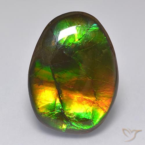 amolita Multicolor natural de 14.86 ct, Elegante, Opaco