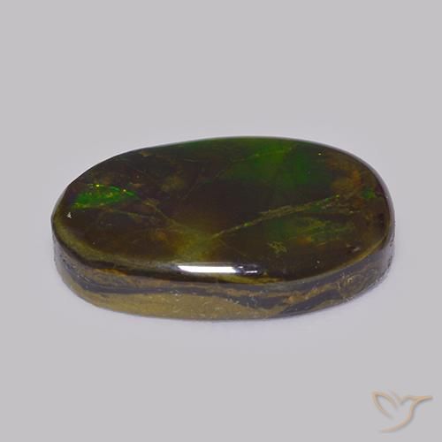 amolita Multicolor natural de 14.86 ct, Elegante, Opaco