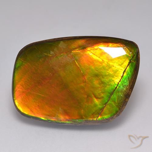 21.59ct Natural Multicolor amolita, Elegante, Opaco