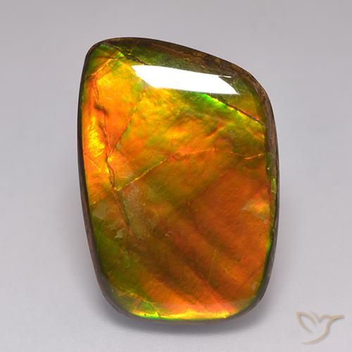 amolita Multicolor natural de 21.59 ct, Elegante, Opaco