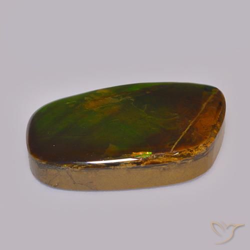 amolita Multicolor natural de 21.59 ct, Elegante, Opaco