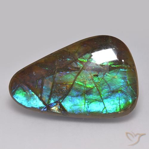 17.82ct Natural Multicolor amolita, Elegante, Opaco