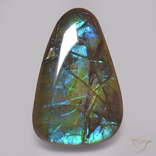 amolita Multicolor natural de 17.82 ct, Elegante, Opaco