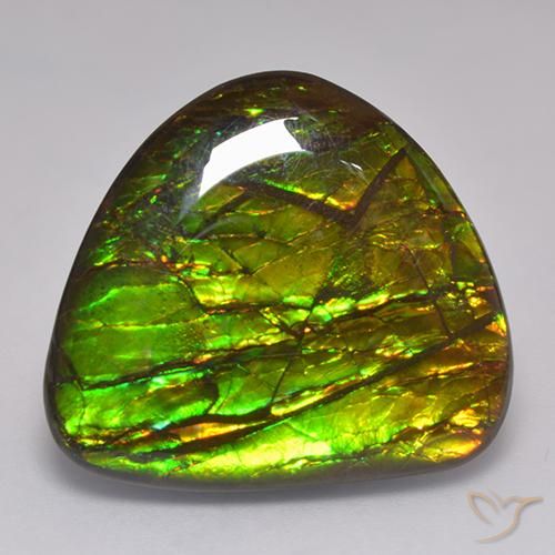 20.62ct Natural Multicolor amolita, Elegante, Opaco
