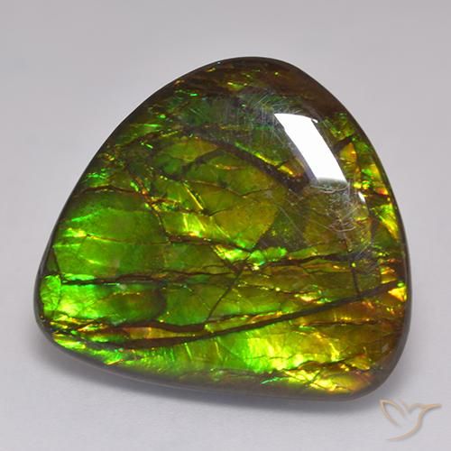 amolita Multicolor natural de 20.62 ct, Elegante, Opaco