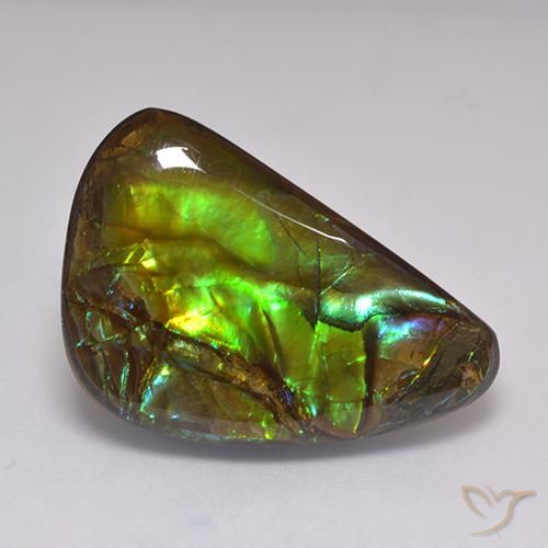 19.60ct Natural Multicolor amolita, Elegante, Opaco