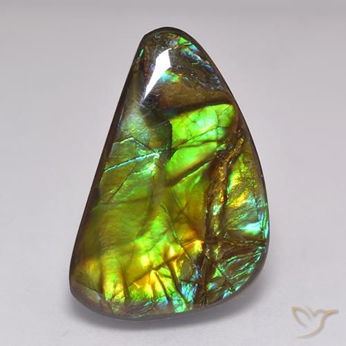 amolita Multicolor natural de 19.60 ct, Elegante, Opaco