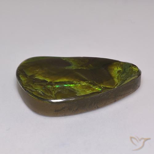 amolita Multicolor natural de 19.60 ct, Elegante, Opaco