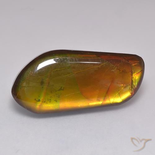 13.43ct Natural Multicolor amolita, Elegante, Opaco