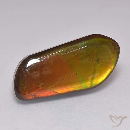 amolita Multicolor natural de 13.43 ct, Elegante, Opaco