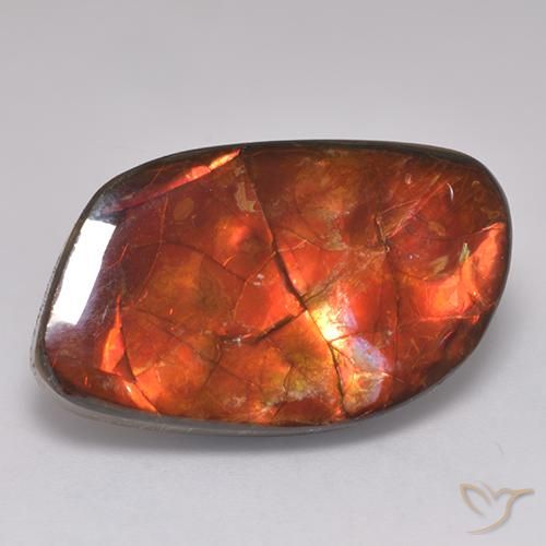 20.30ct Natural Multicolor amolita, Elegante, Opaco