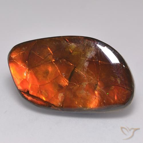 amolita Multicolor natural de 20.30 ct, Elegante, Opaco