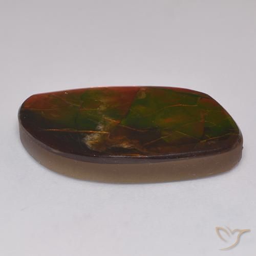 amolita Multicolor natural de 20.30 ct, Elegante, Opaco