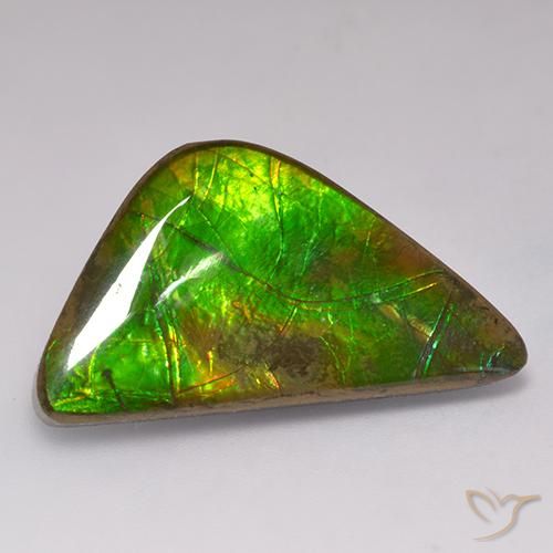 amolita Multicolor natural de 17.71 ct, Elegante, Opaco