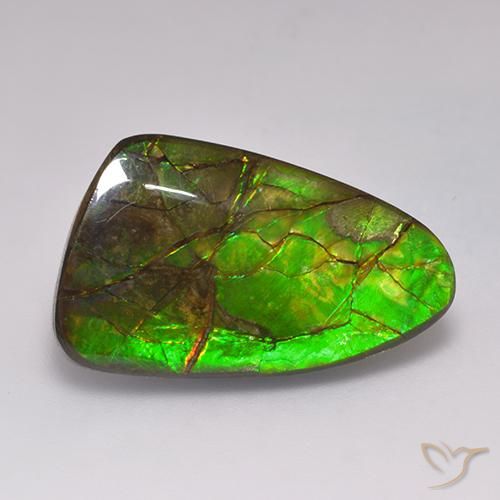 19.72ct Natural Multicolor amolita, Elegante, Opaco