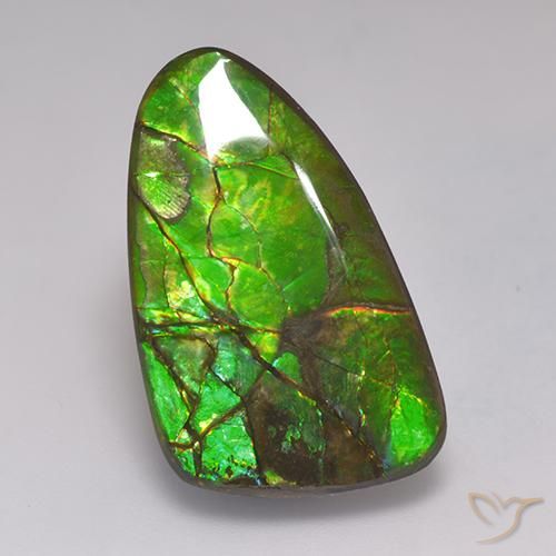 amolita Multicolor natural de 19.72 ct, Elegante, Opaco