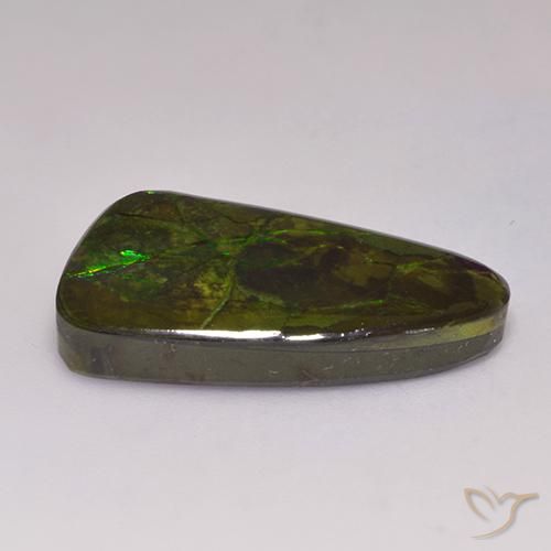 amolita Multicolor natural de 19.72 ct, Elegante, Opaco
