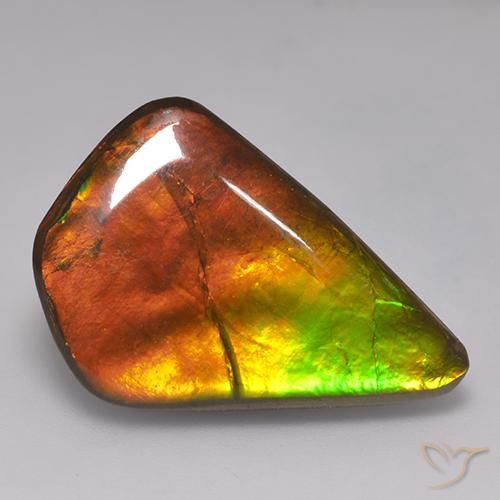 20.30ct Natural Multicolor amolita, Elegante, Opaco