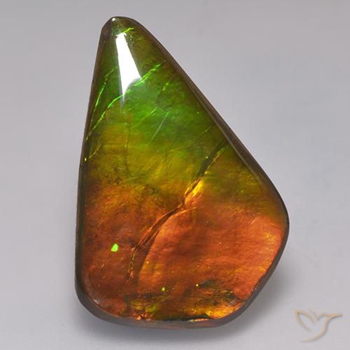 amolita Multicolor natural de 20.30 ct, Elegante, Opaco