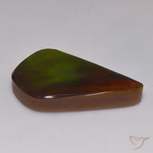 amolita Multicolor natural de 20.30 ct, Elegante, Opaco
