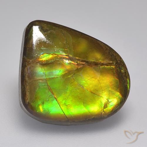 10.46ct Natural Multicolor amolita, Elegante, Opaco